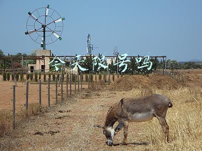 今天限号吗