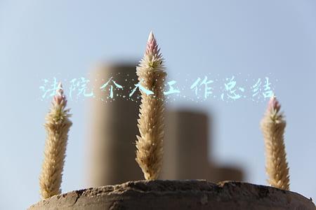 法院个人工作总结