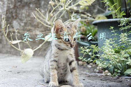 失业证有什么用