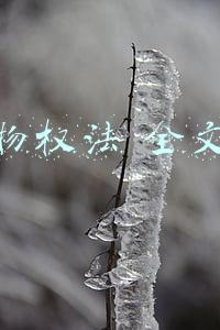物权法 全文