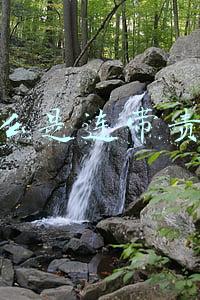 什么是连带责任