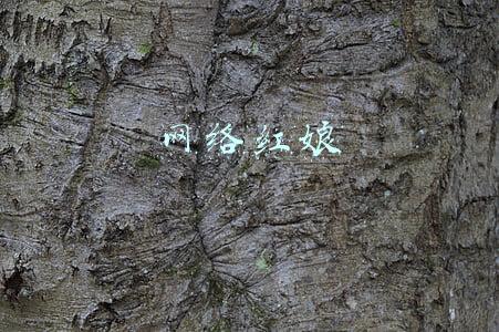 网络红娘
