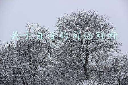 关于自首的司法解释