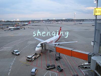 shenqing