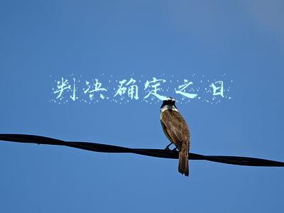 判决确定之日是指什么时间(「法考」刑法之重要期间或者数字汇总)
