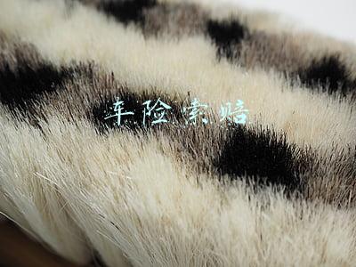 车险索赔