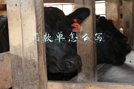 员工旷工罚款单怎么写(迟到或早退3小时以上视为旷工1天，合法吗？)