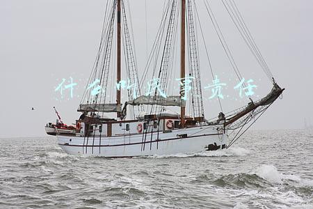 什么叫民事责任的划分依据(民事责任顺口溜)