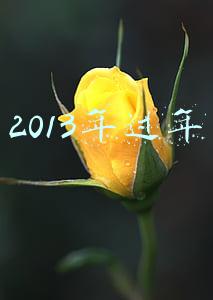 2013年过年