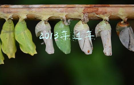 2013年过年