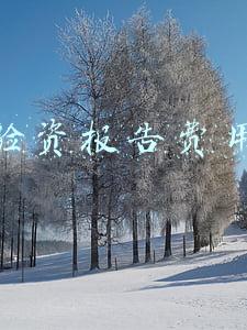验资报告费用