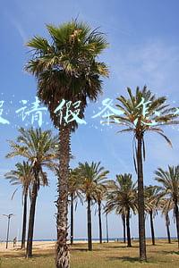婚假请假条怎么写