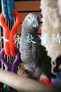 个人贷款申请书