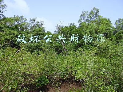 破坏公共财物罪