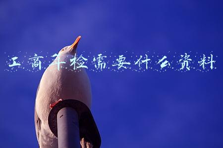 工商年检需要什么资料