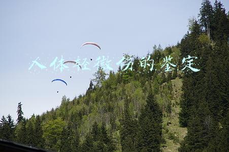 人体轻微伤的鉴定