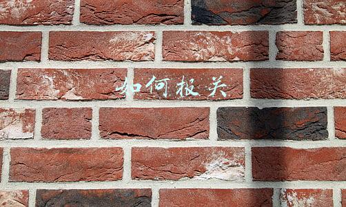 如何报关
