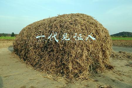 一代见证人