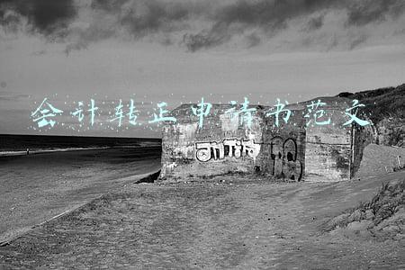 会计转正申请书范文