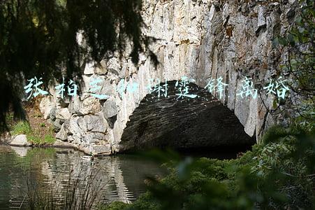 张柏芝和谢霆锋离婚