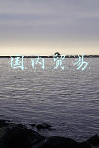 国内贸易