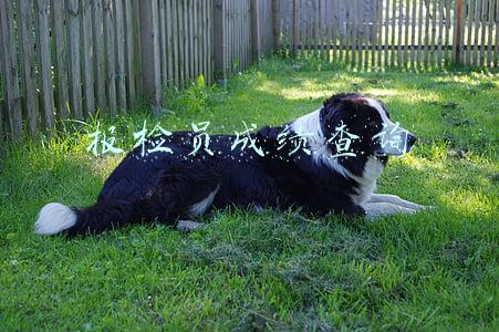 试验检测员成绩查询(2022年公路水运工程试验检测专业职业资格考试河北考区考试公告)