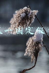 五一国定假日