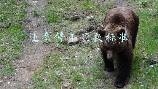 违章停车罚款规定(违章停车56条怎么处罚)