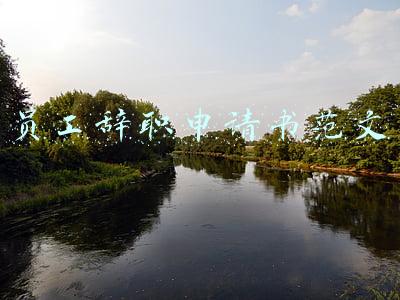 员工辞职申请书范文