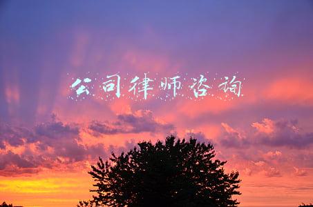 公司律师咨询