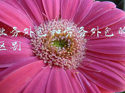 劳务外包和服务外包的区别(劳务派遣和外包有什么区别)
