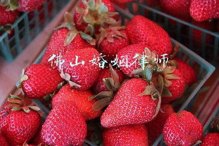 佛山市离婚律师(佛山知名离婚律师在线咨询)