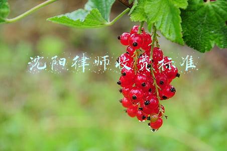 沈阳律师收费标准