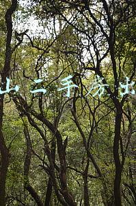 盘山二手房出售