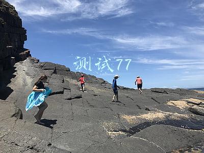 测试77