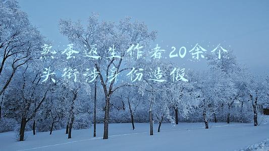 熟蛋返生作者20余个头衔涉身份造假