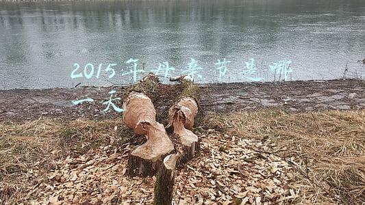 2015年母亲节是哪一天