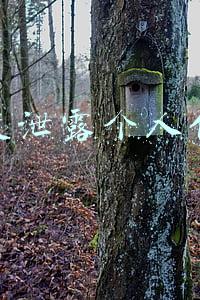 百度泄露个人信息