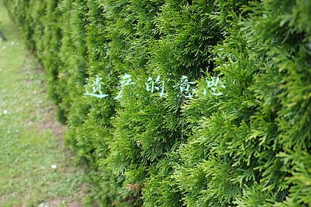 遗产的意思