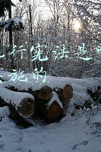 我国现行宪法是哪一年颁布实施的