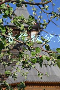 软件著作权分类号