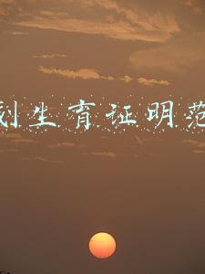 《计划生育证明书》(教育部：全面清理取消学前教育经历、计划生育证明等无谓证明材料)