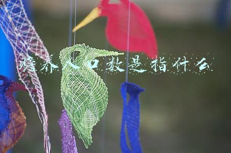 赡养人口数是指什么