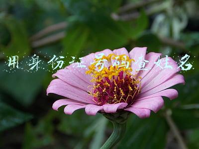 查姓名和身份证号码(骗婚、隐瞒、疾病，绝不上当！教你婚前合法查询对方信息)