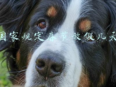 国家规定春节放假多久(最新放假通知)