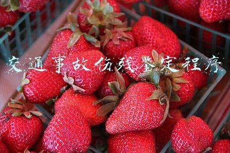 交通事故伤残鉴定程序