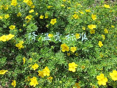 国企防暑降温费标准(夏天结束，你有收到公司的防暑降温补贴吗？)