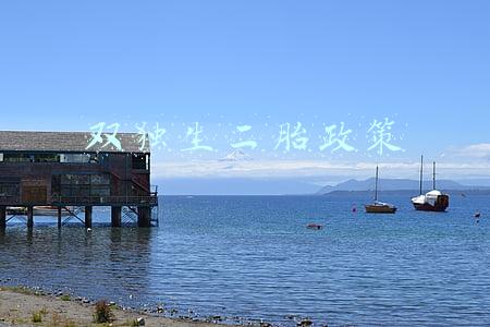 双独生二胎政策