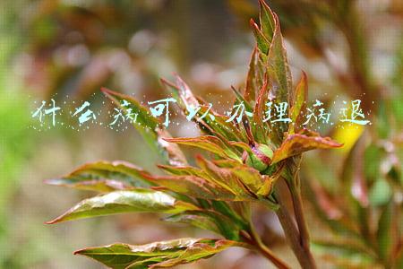 什么病可以办理病退
