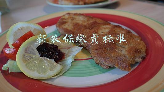 新农保缴费标准
